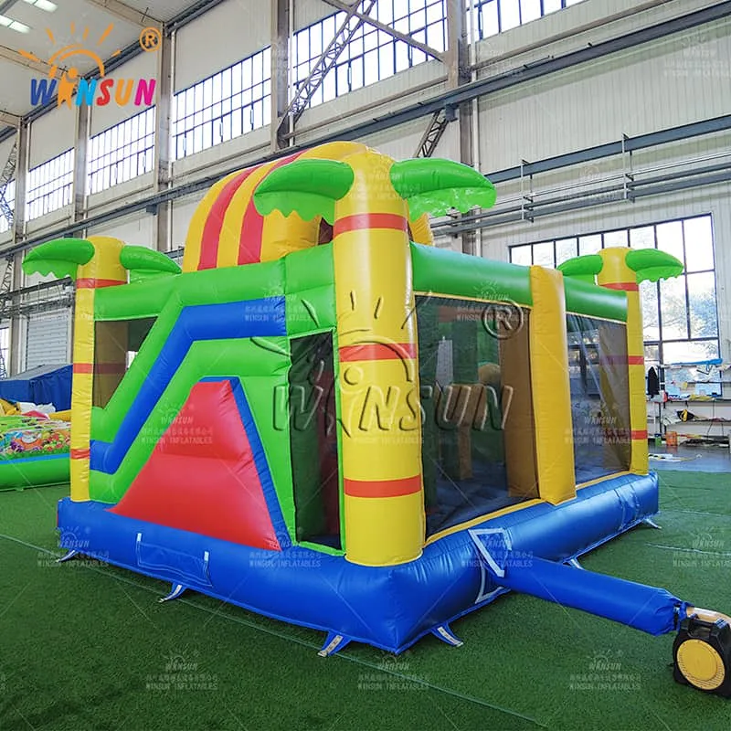 Jungle Lion Commercial Inflatable Combo